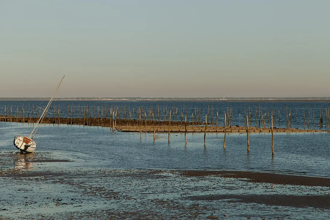Parcs à huîtres à marée basse face à la presqu'île du Cap Ferret