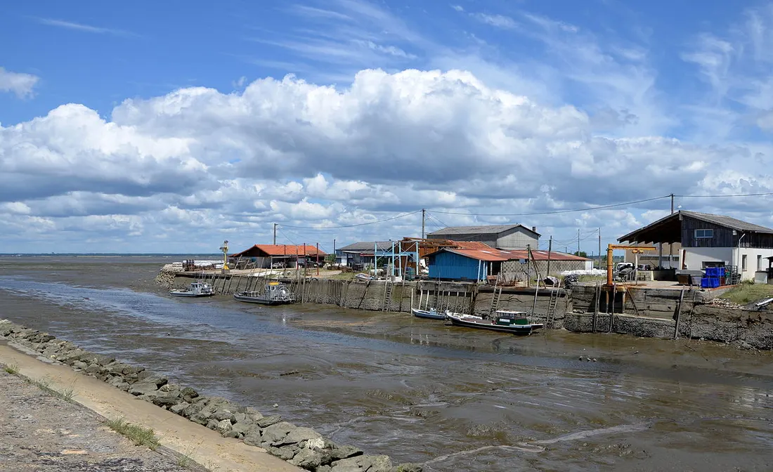 Les cabanes ostréicoles noires du port de Larros à Gujan-Mestras